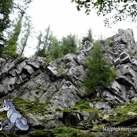 Goralska Osada - Apartametny カルパッチ